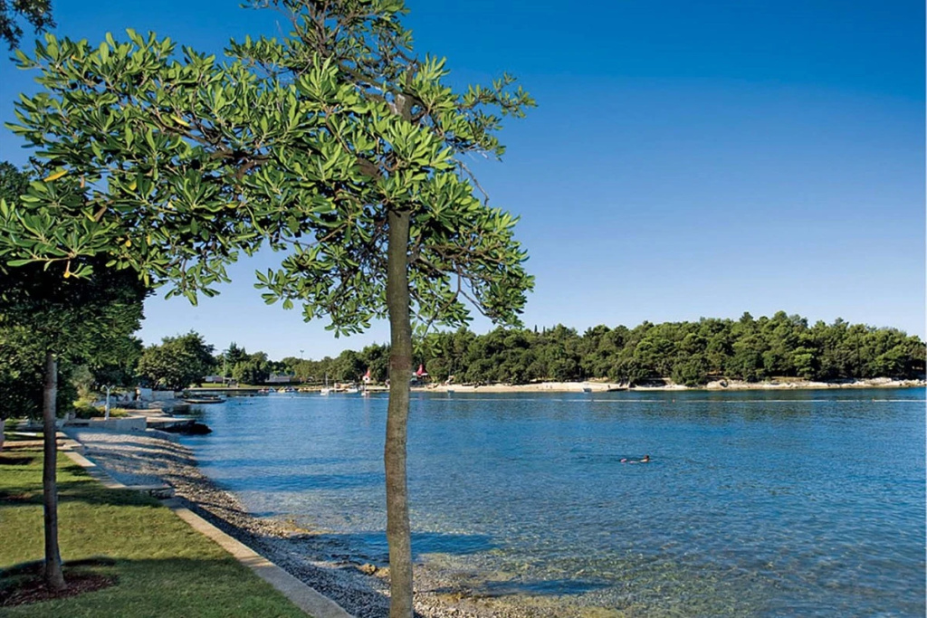 Beach & Waterfront