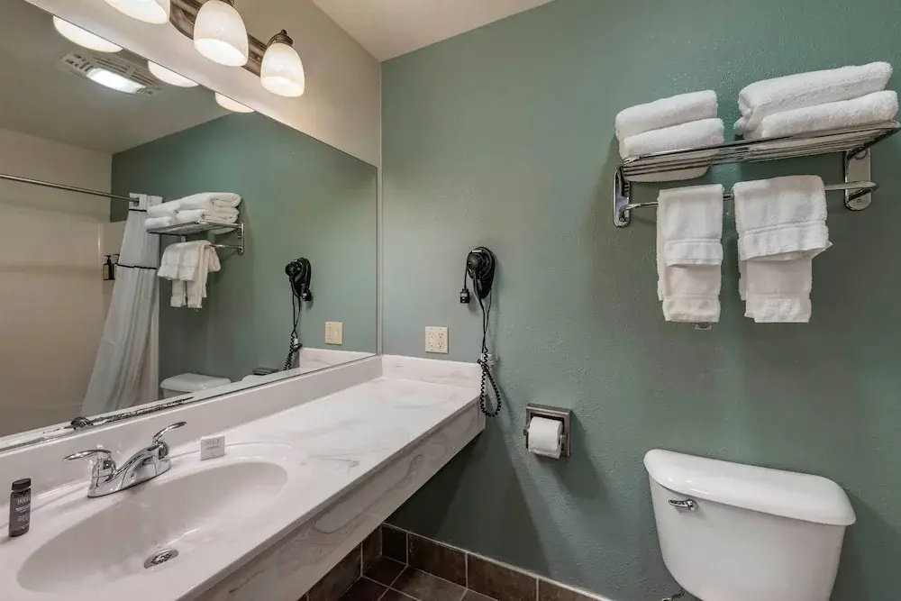 Three Bears Waterpark Resort Near Tomah, an Ascend Collection Hotel - Chambres