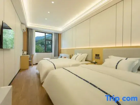Deluxe Double room (twin beds)