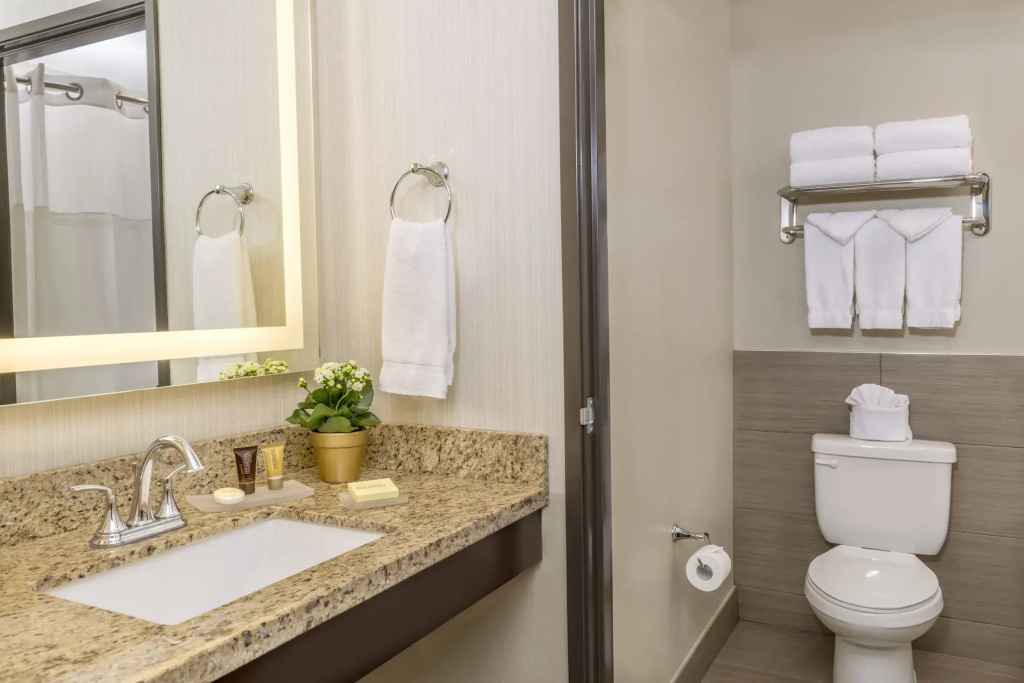 Ayres Suites Yorba Linda - Général