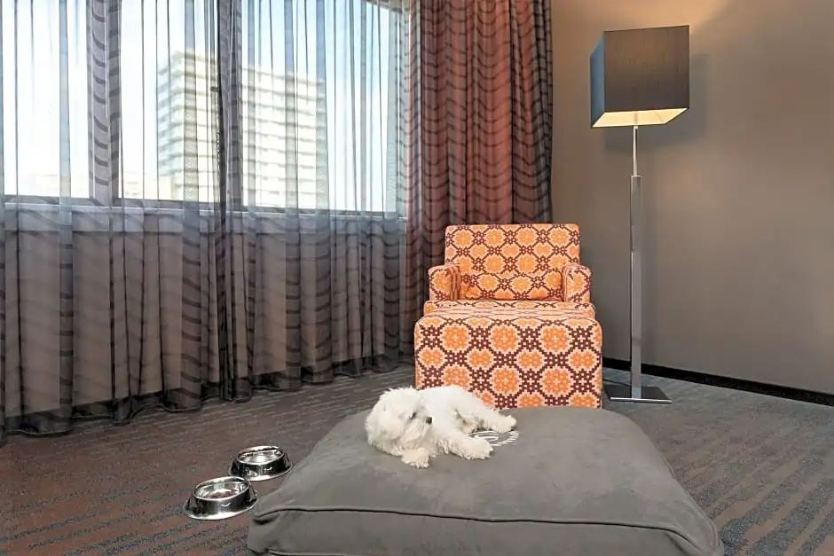 1 Bedroom Executive Double Suite (full double bed)