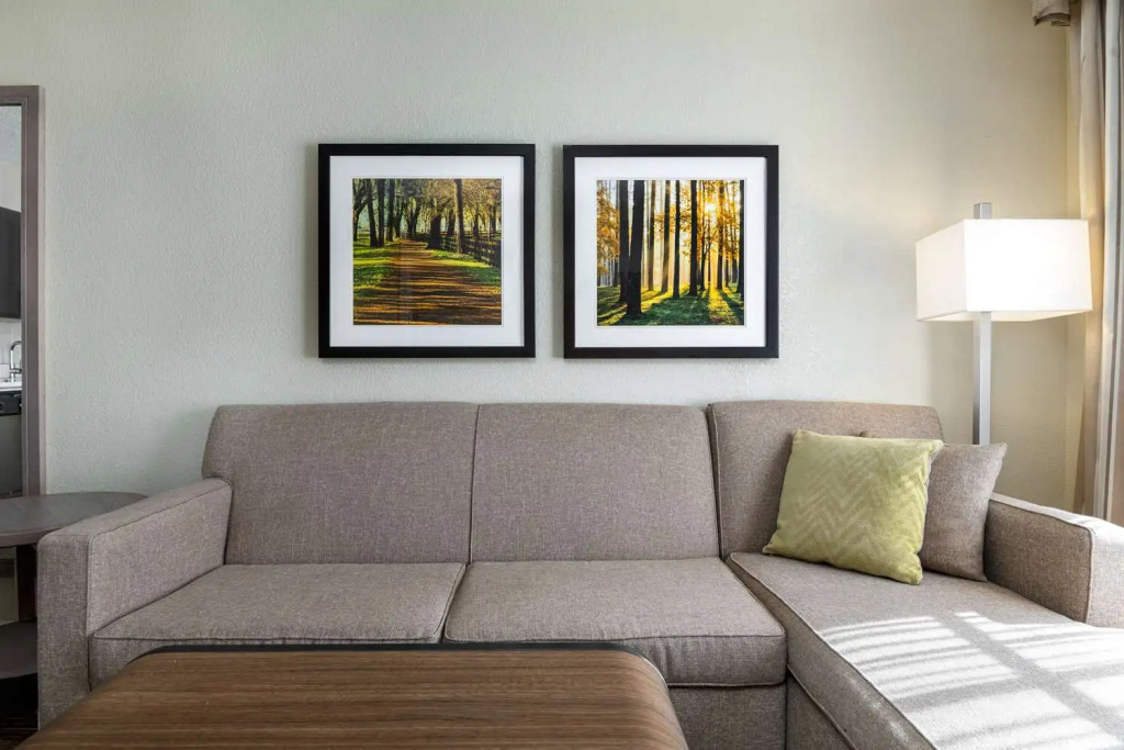 Homewood Suites by Hilton Tallahassee - Chambres