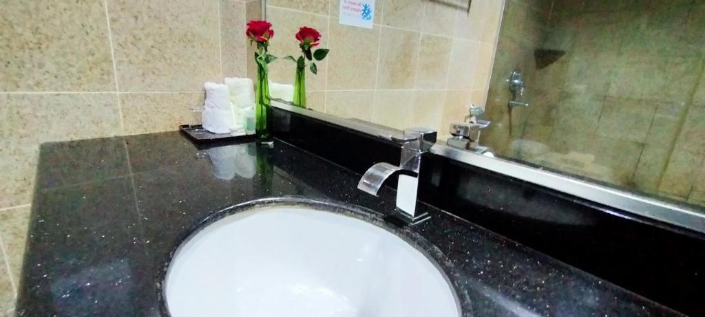Td Plaza Hotel