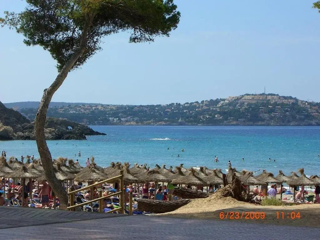 Beach & Waterfront