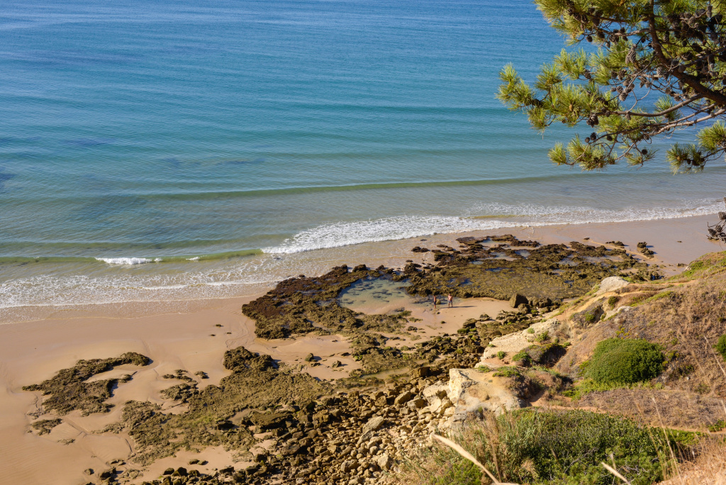 Beach & Waterfront
