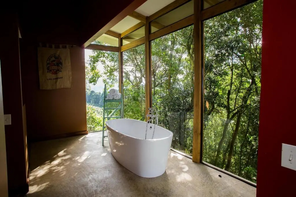 Chayote Lodge - Chambres