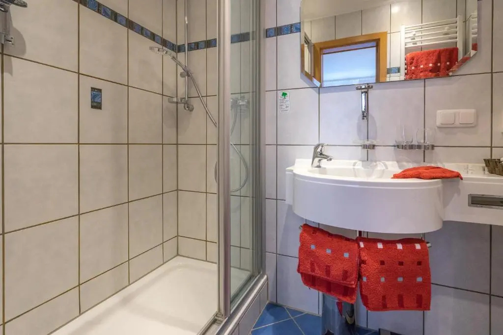 Economy Double room (full double bed)