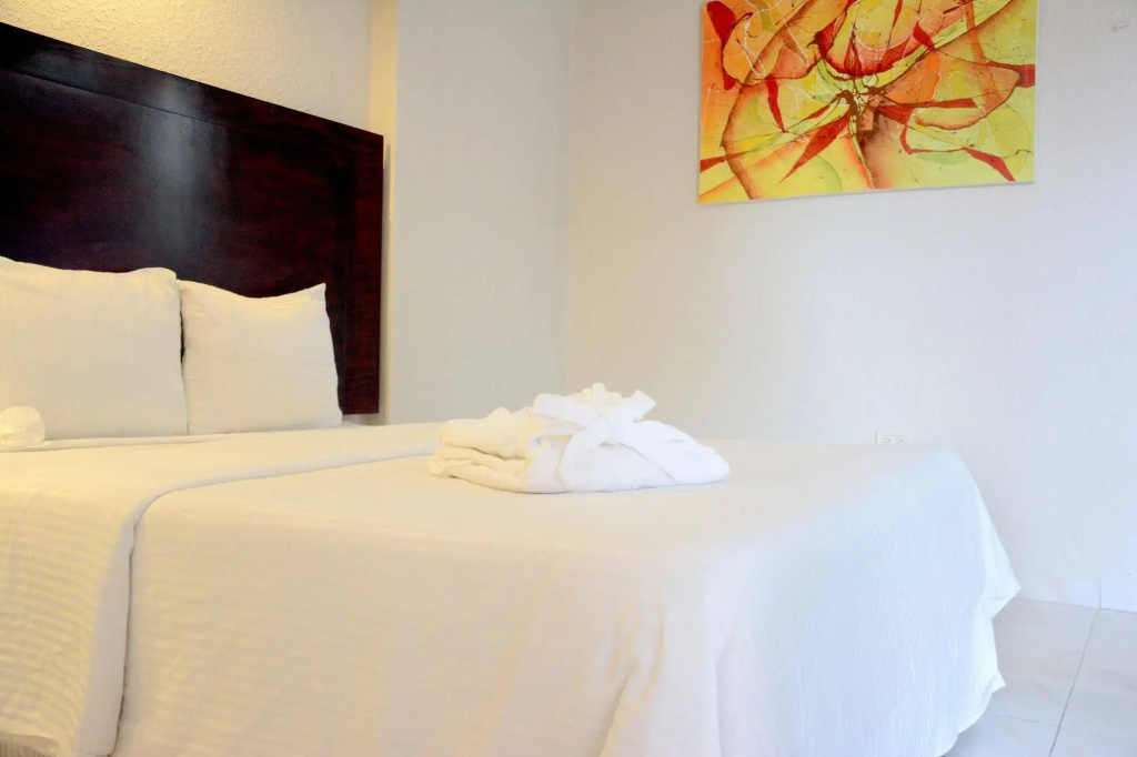 Hotel Maria del Carmen Merida - Général
