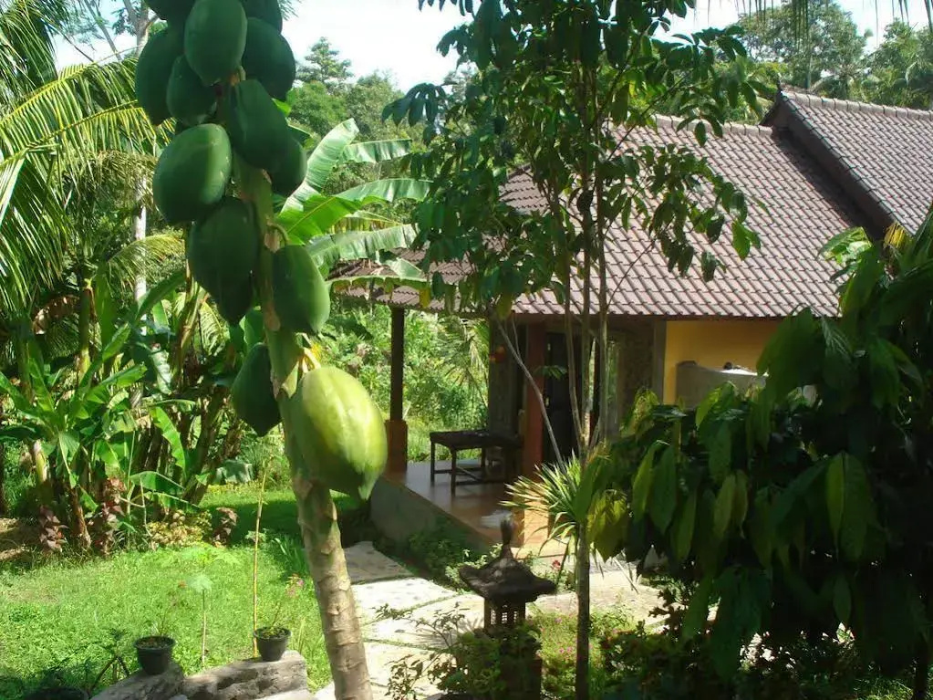 Khrisna Homestay