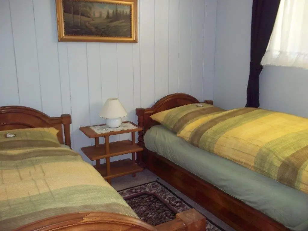 Deluxe Double room twin beds