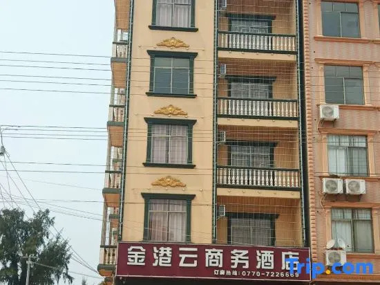 Dongxing Jingangyun Business Hotel