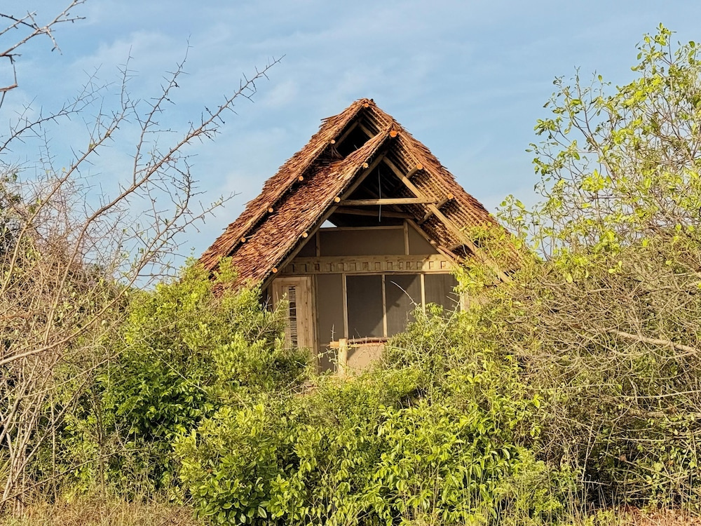 Saadani Beach Camp