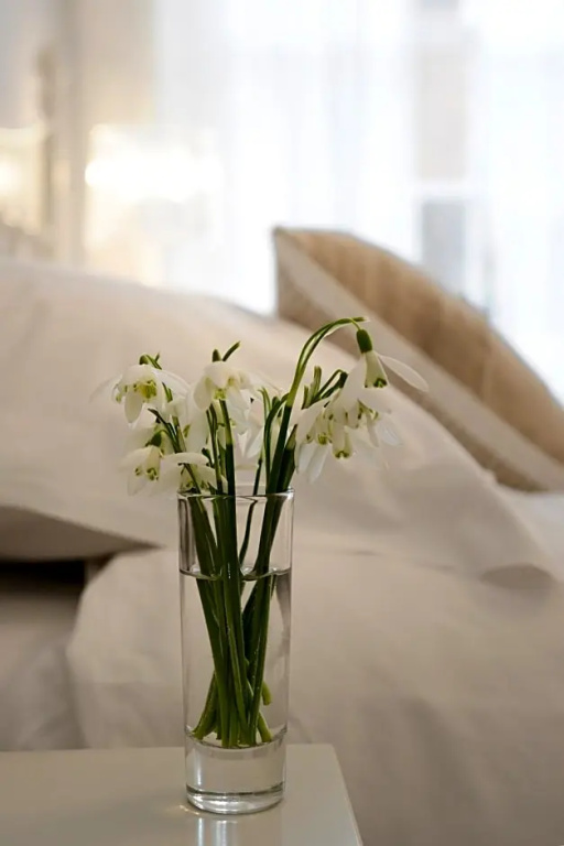 Lion and Pheasant Hotel - Chambres