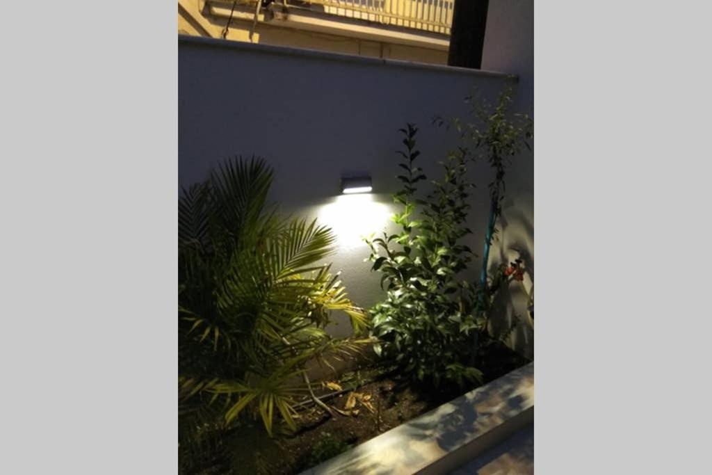 Arxontia 1