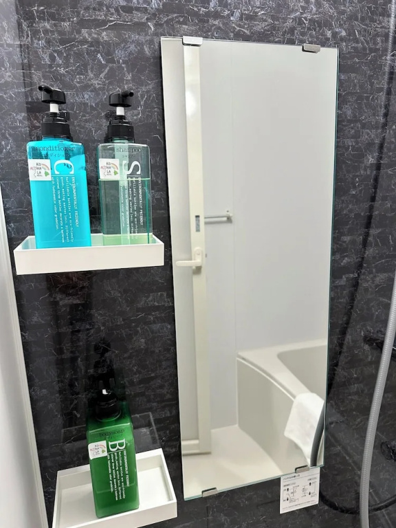 Economy Double room (full double bed)