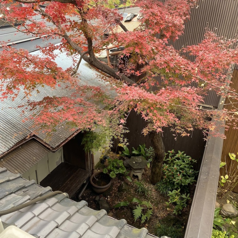 Guesthouse KIOTO - Hostel 사진 6