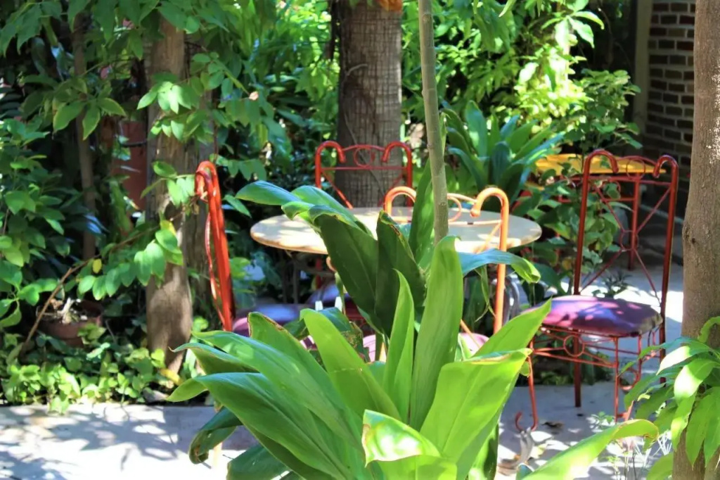 Hotel photo 11