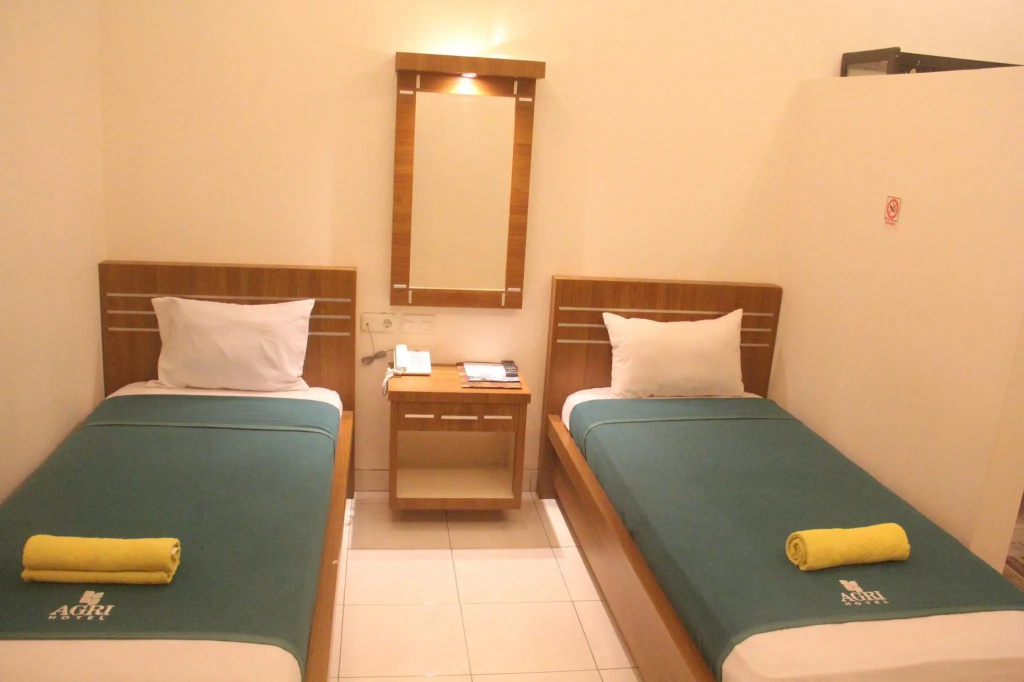 Superior Double room (twin beds)