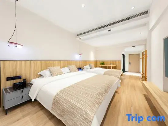 Deluxe Double room with balcony and with river view (twin beds)