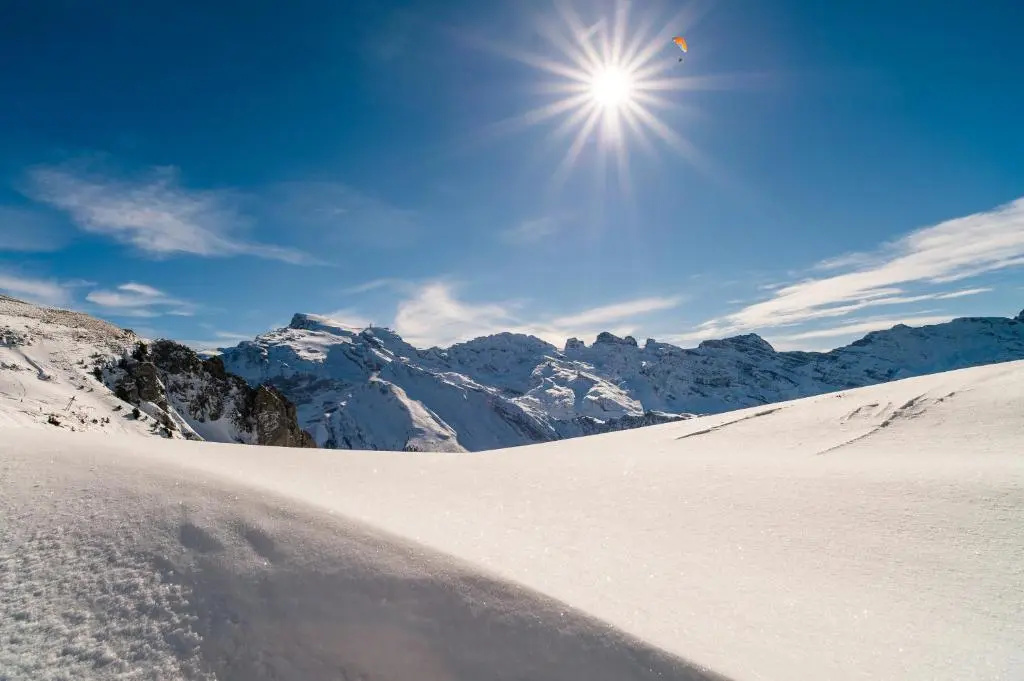 H+ Hotel & SPA Engelberg - Général