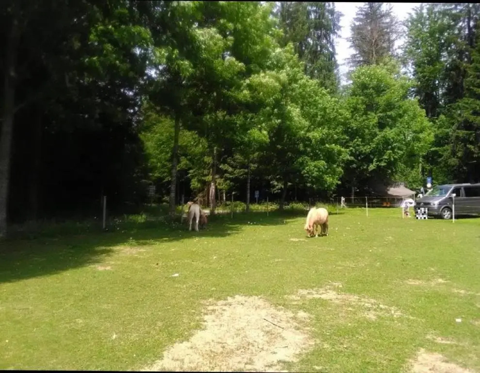 Feriengut zum Fürst n