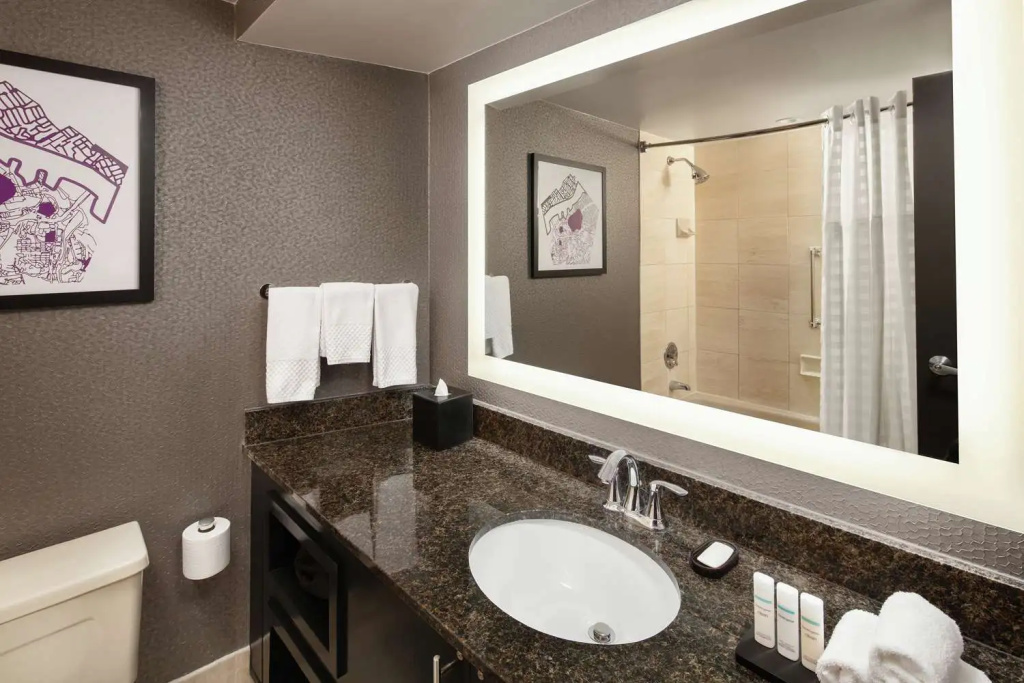 Embassy Suites by Hilton Crystal City National Airport - Chambres