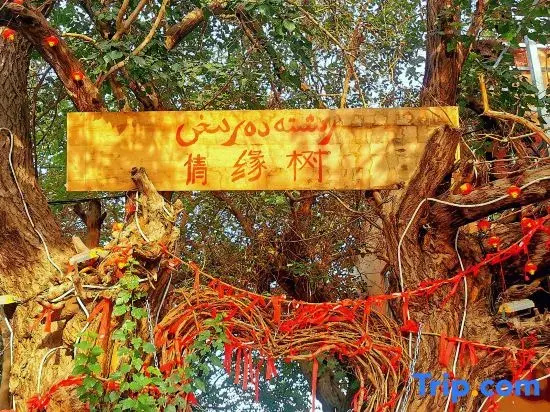 Turpan Grape Village Sand Therapy Homestay (Grape Valley Branch)