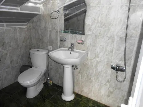 Hotel Neli Telavi - Général