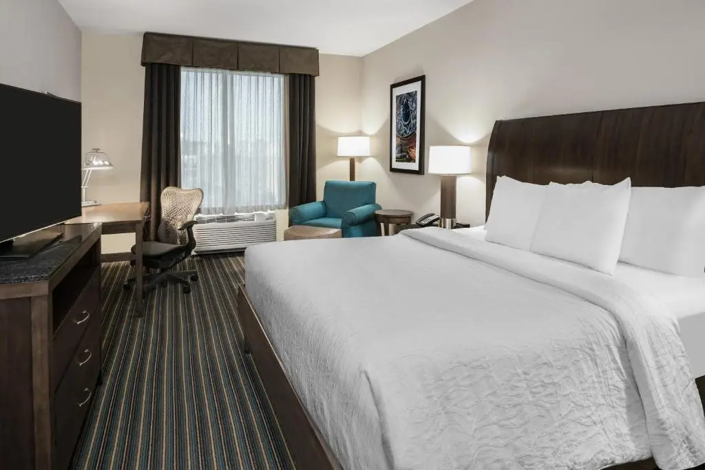 Hilton Garden Inn San Antonio At The Rim - Chambres