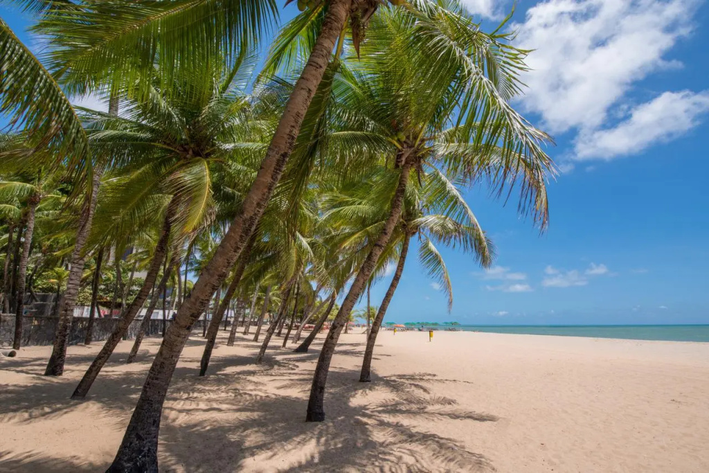 Beach & Waterfront
