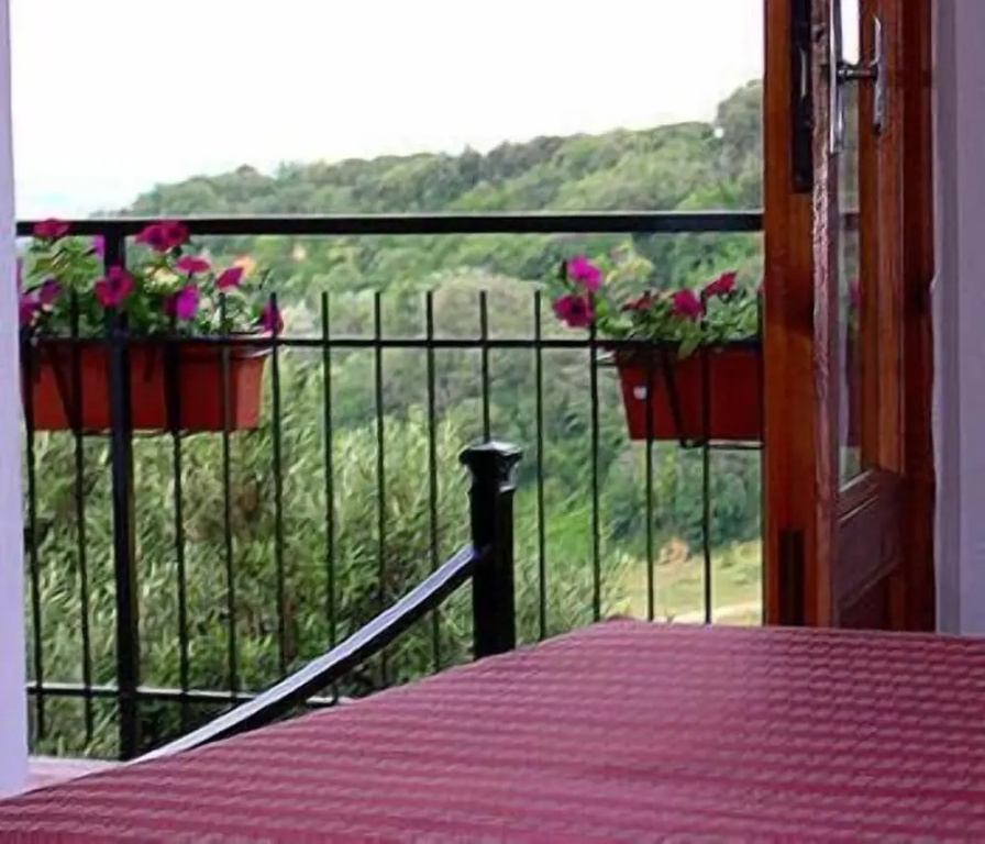 Standard Double room with balcony and with view (full double bed)