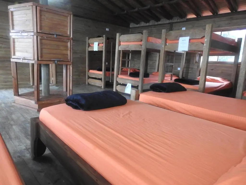 Bed in Dorm