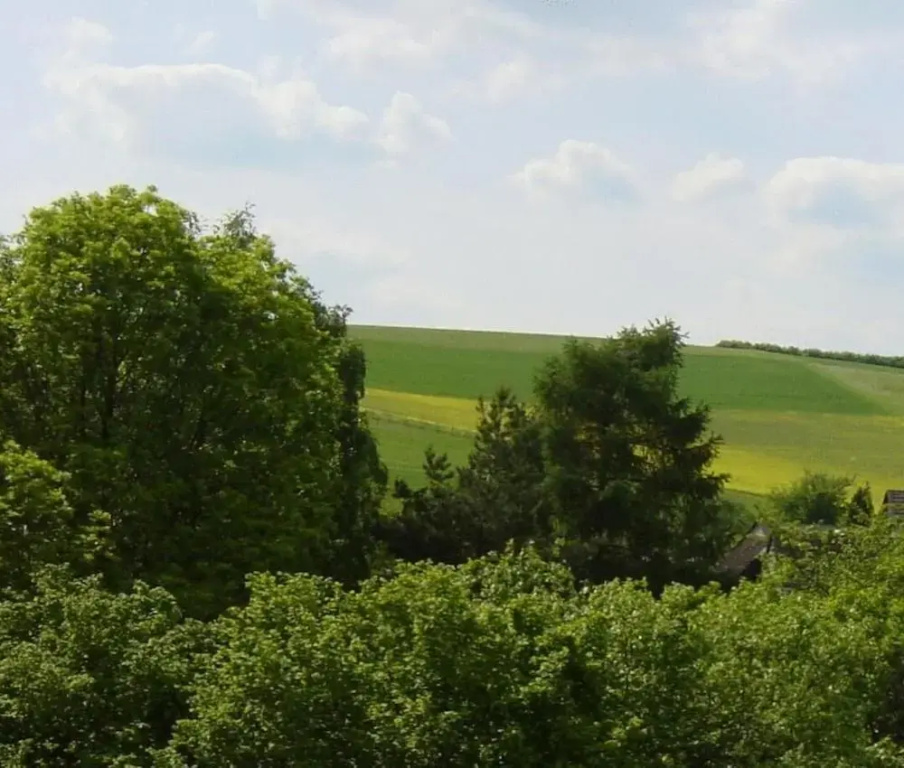 Pension Hubertus - Général