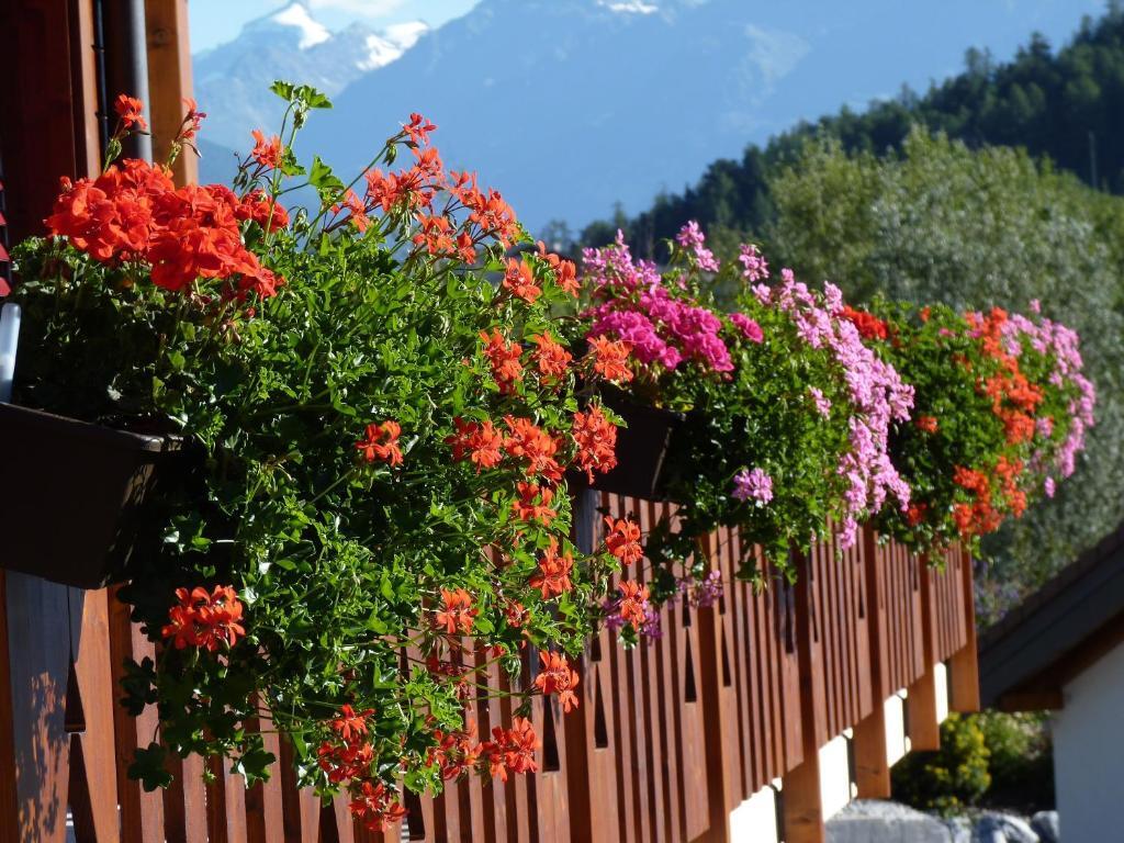 Chalet des Alpes by null