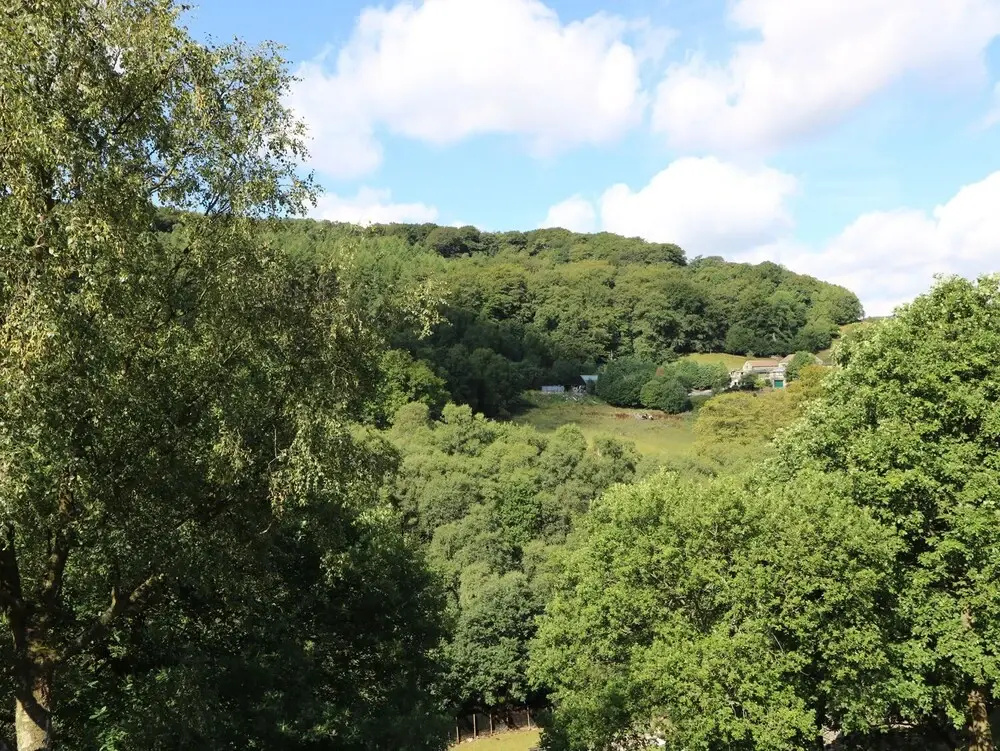 Hove Wood View