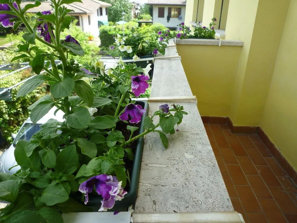 Dimora di Bosco Room & Breakfast