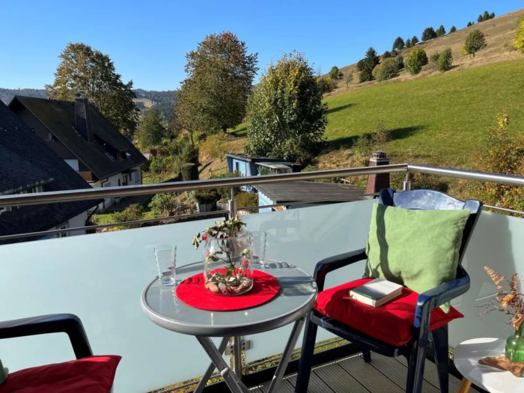 Schwarzwaldblick 41430
