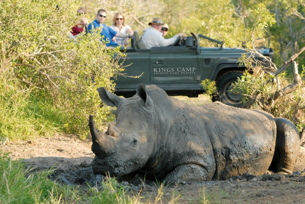 Kings Camp Private Game Reserve