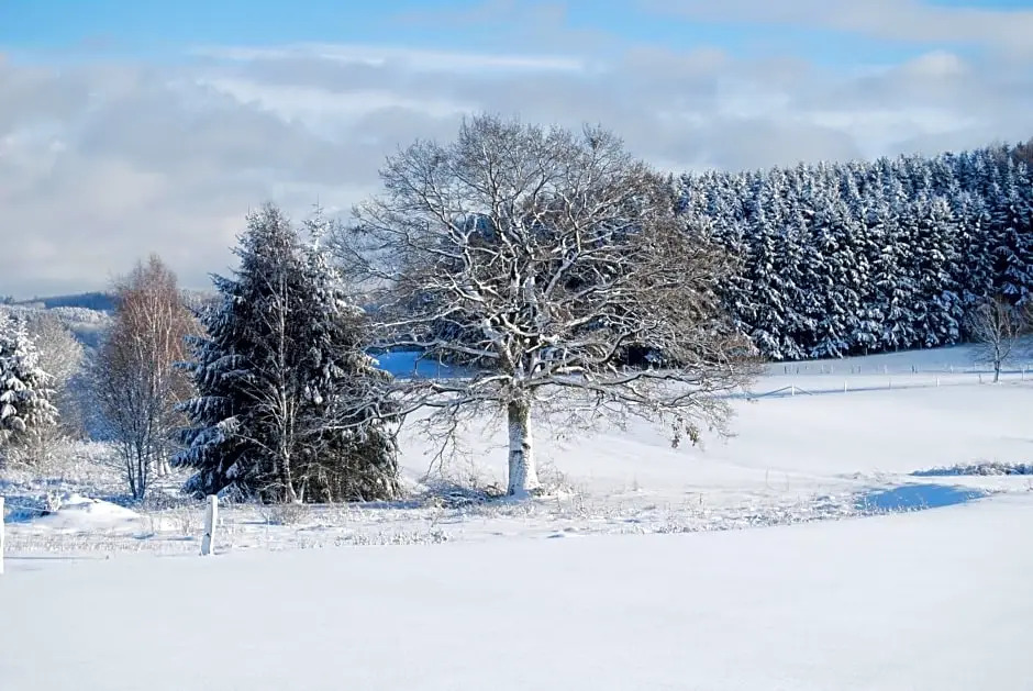 Le Relais du Moulin - фото 17