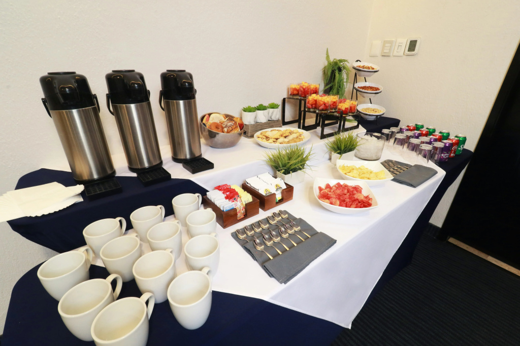 Holiday Inn Express San Luis Potosi by IHG - Général