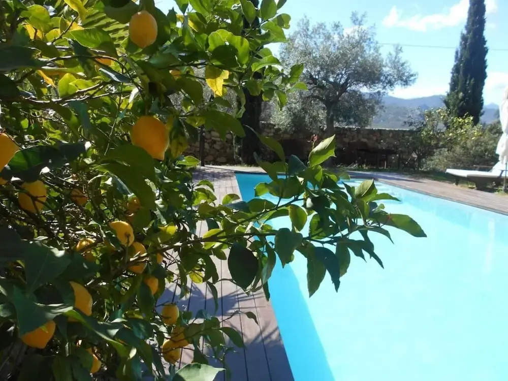 Holiday Home Bomorto
