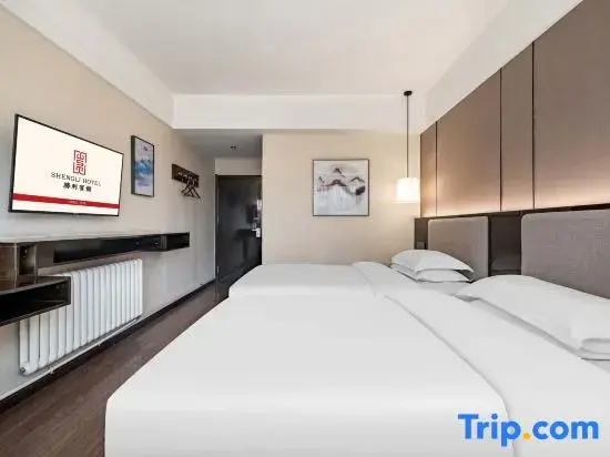 Standard Double room (twin beds)