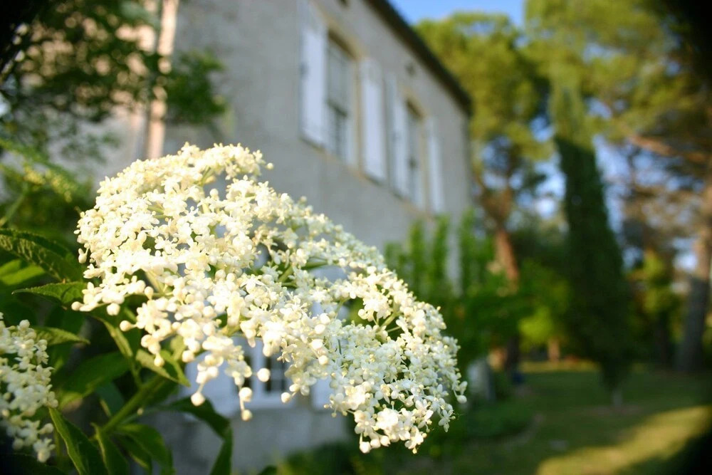 Domaine De La Brette