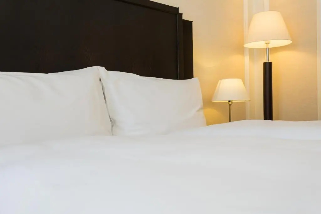 Hotel Euler - Chambres