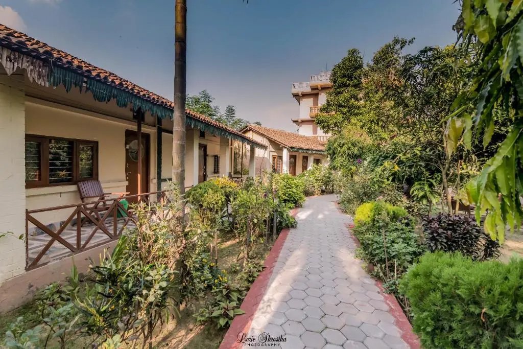 Eden Jungle Resort - Chambres