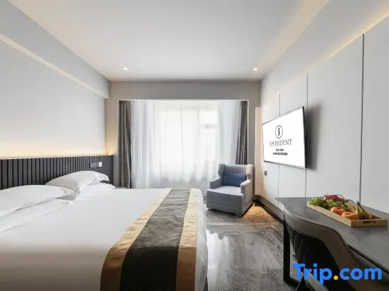 Standard Double room with city view (full double bed)