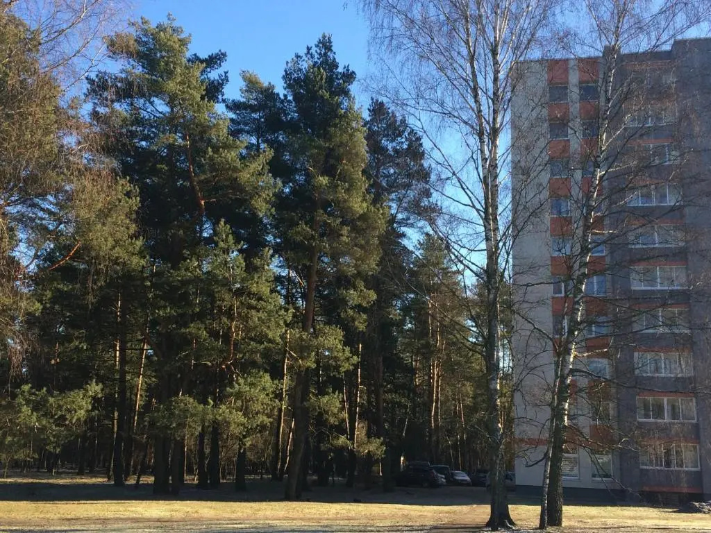 Superior Apartment