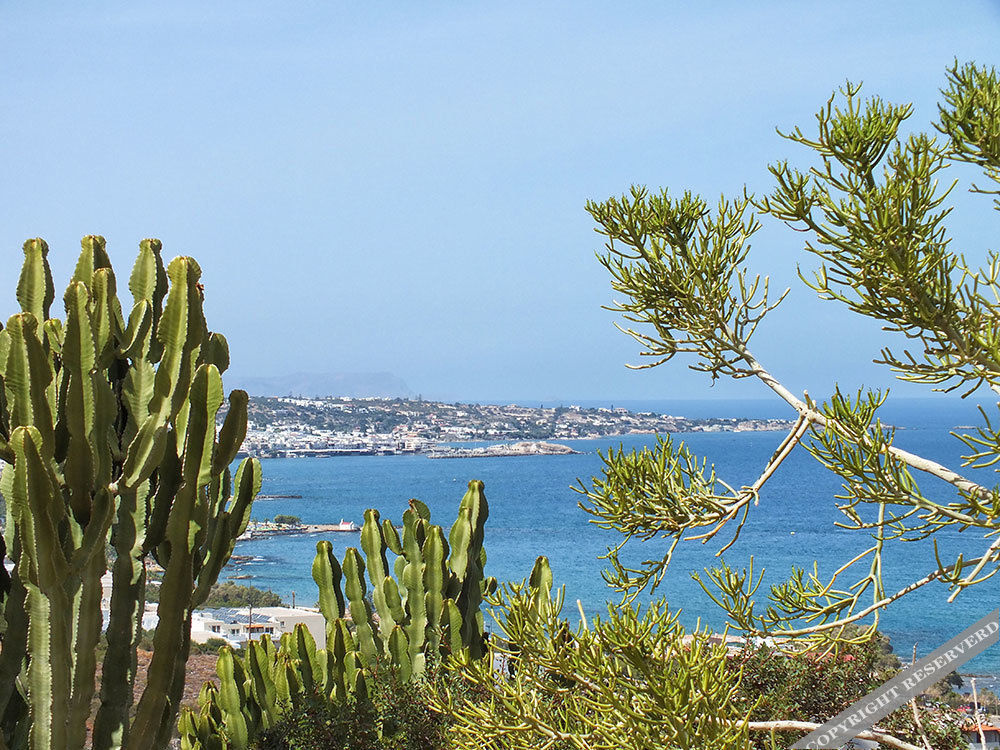 Beach & Waterfront