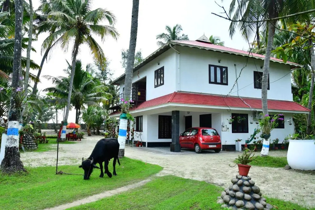 Standard Double room with sea view (full double bed)