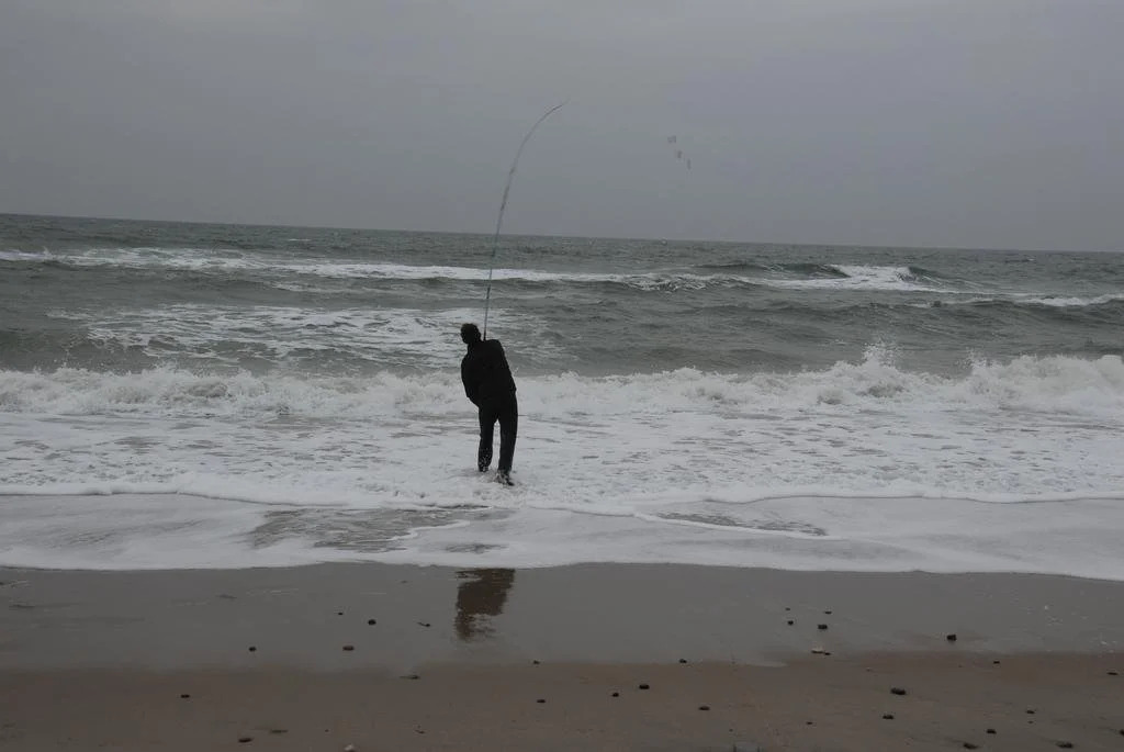 Dancamps Holmsland - фото 5